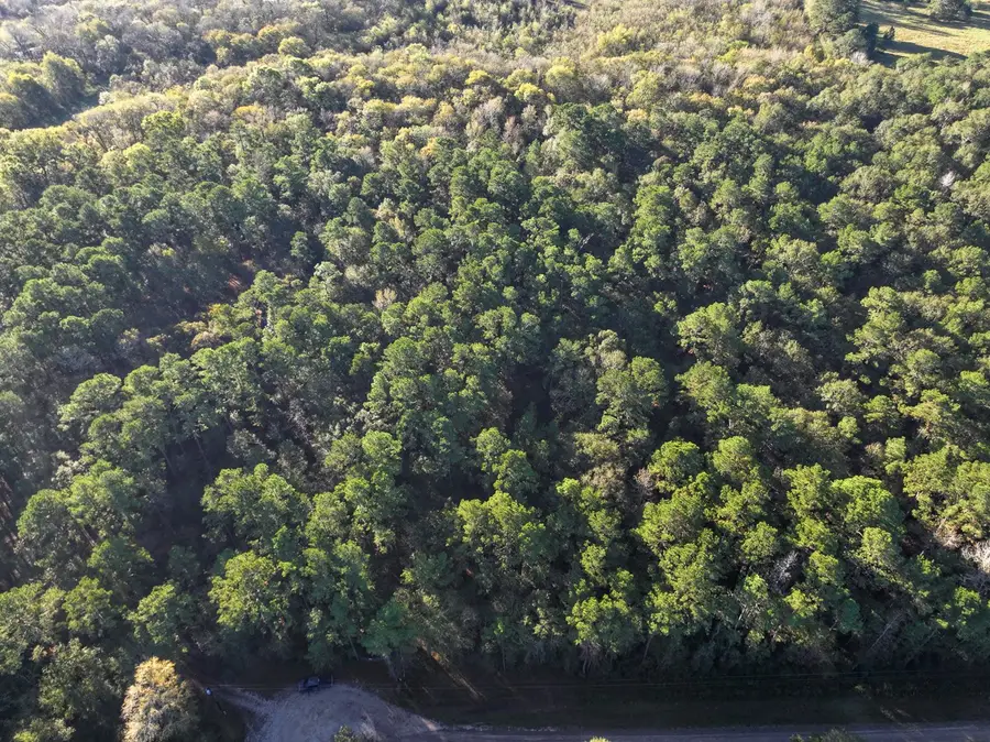 156 Lessa Lane, Huntsville, TX 77340 - #2