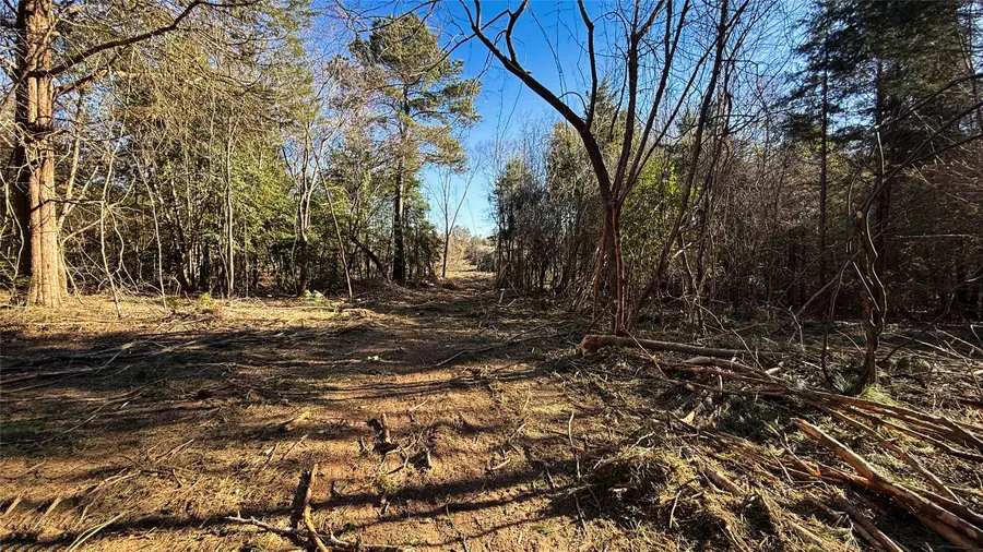 TBD #14 County Road 475a, Henderson, TX 75654 - #3