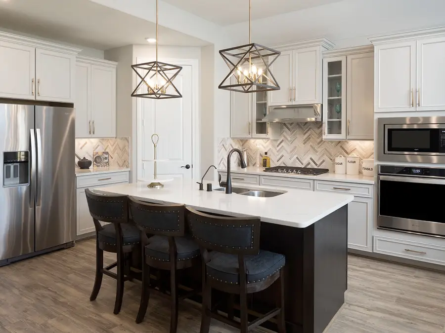 225 Raine Manor Court, Montgomery, TX 77316 - Image #2