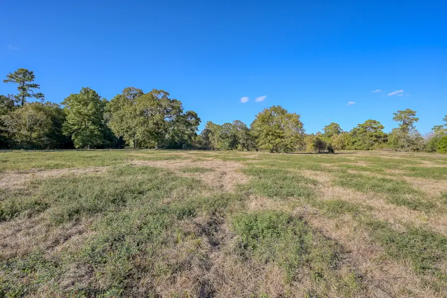 200 ACRES Spring Branch Road, Montgomery, TX 77316 - #2