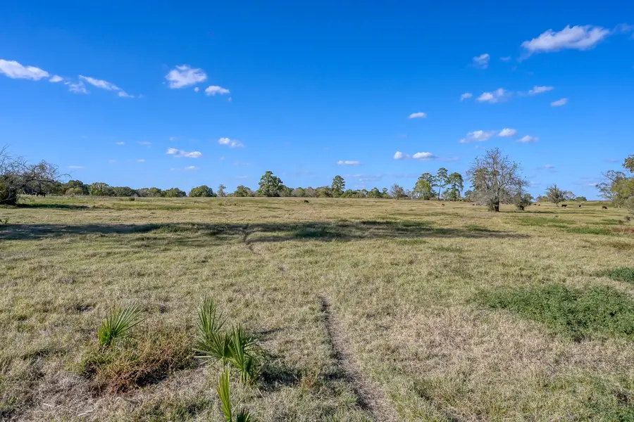 200 ACRES Spring Branch Road, Montgomery, TX 77316 - #3