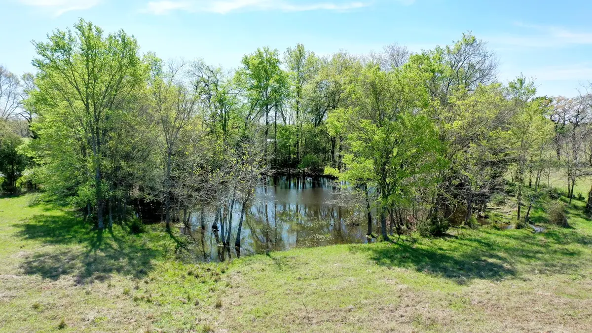 6 AC Fm 3091, Madisonville, TX 77864 - #1