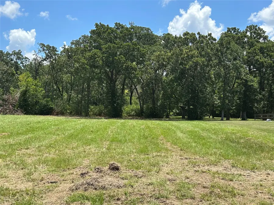 1678 Opal Trail, Willis, TX 77378 - #3