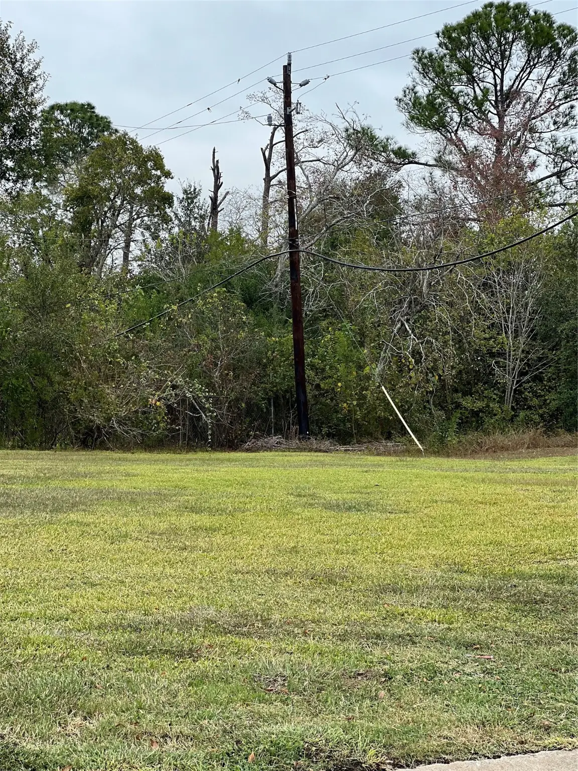 000 Greylog Drive, Houston, TX 77048 - Image #1