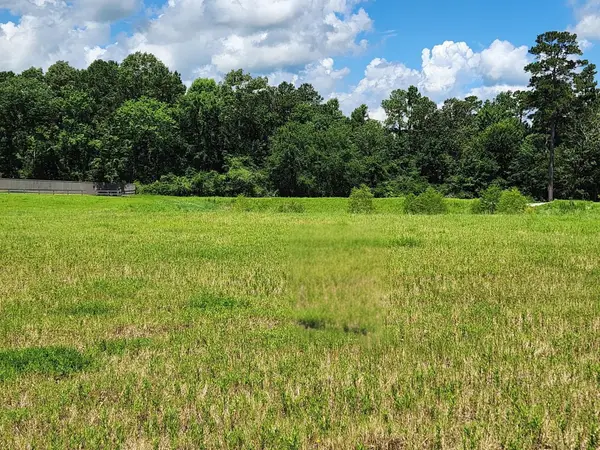 12855 Bentwood Farms Trace, Montgomery, TX 77356
