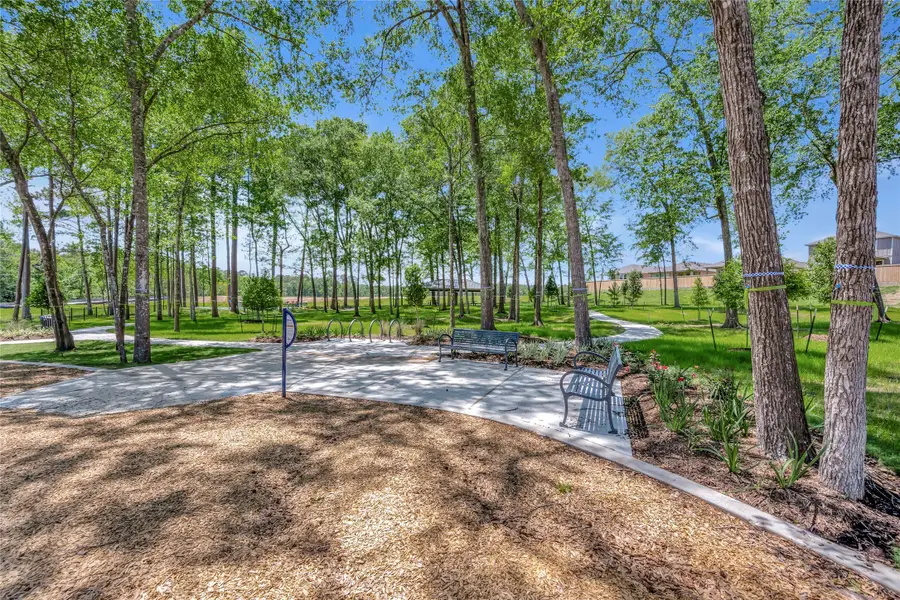 17764 Mill Manor Drive, Montgomery, TX 77316 - #3