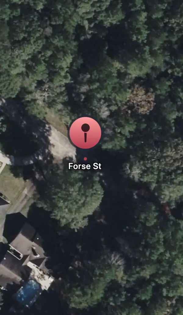 TBD Forse Street, Woodville, TX 75979