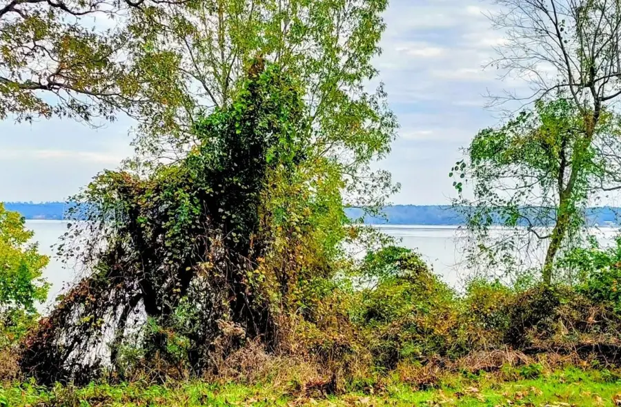 0 Bay Hill Road, Huntsville, TX 77320 - #2