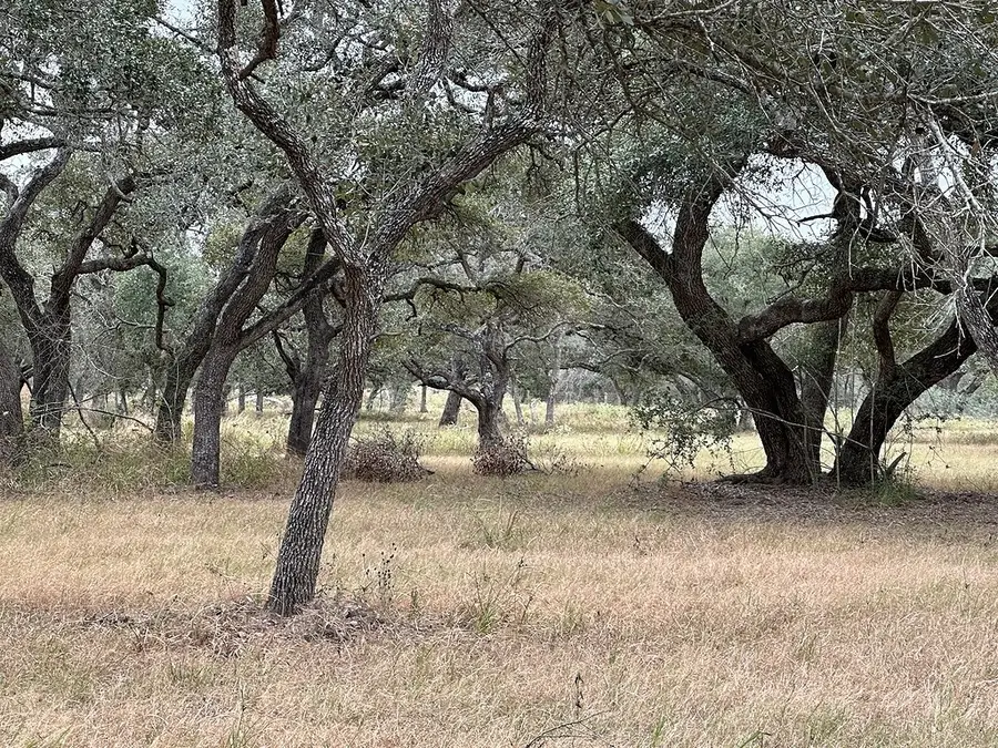 1482 Ramsey Road, Alleyton, TX 78935 - #2