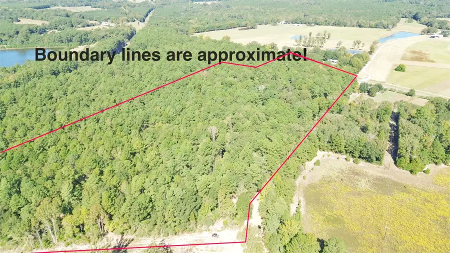 1842 Fm 2423, Grapeland, TX 75844 - #2