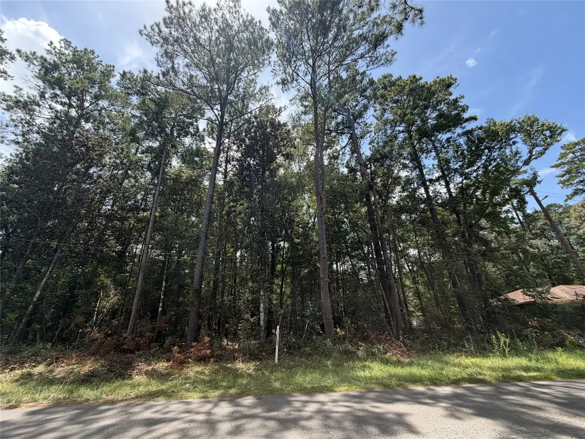 0 W Black Gum Drive, Village Mills, TX 77663 - #1