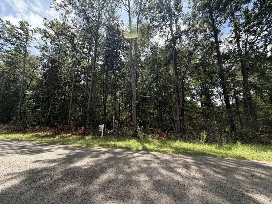 0 W Black Gum Drive, Village Mills, TX 77663 - #2