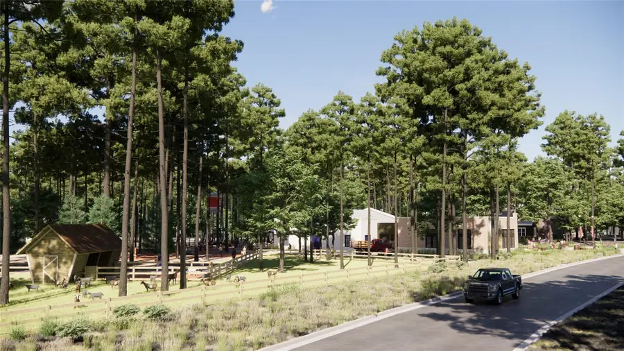 11415 Mandolin Drive, Montgomery, TX 77316 - Image #3