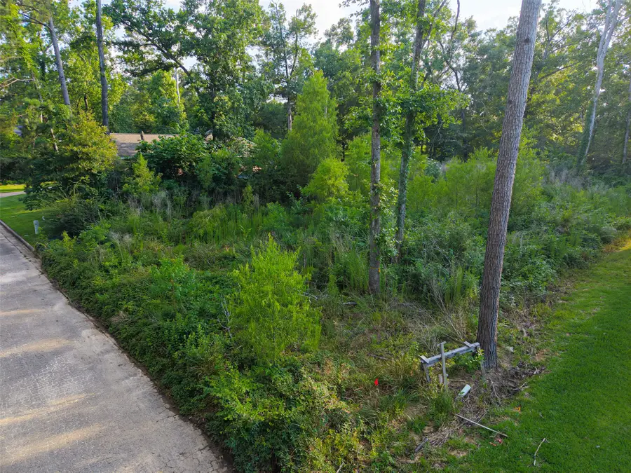 0 Mustang Avenue, Willis, TX 77378 - #3