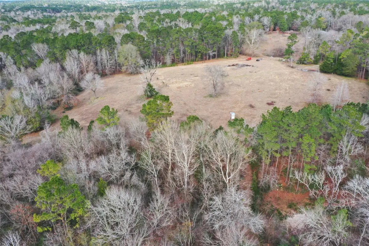 TBD Dejardo Lane, Coldspring, TX 77331 - Image #1