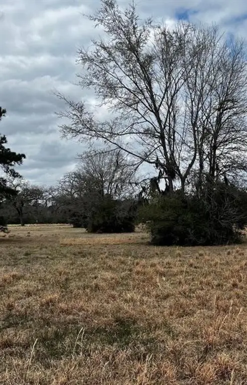 313 Dawns Edge, Trinity, TX 75862 - #1