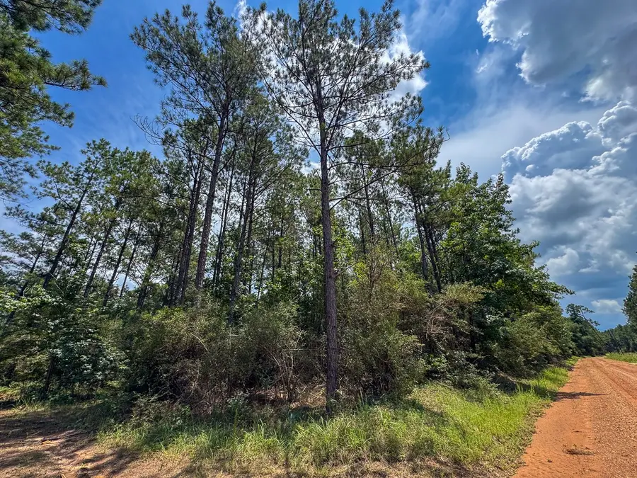 T-2 Benny Griffin Road, Livingston, TX 77351 - #3