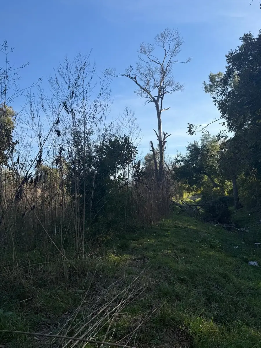 4804 Bostic Street, Houston, TX 77016 - Image #2