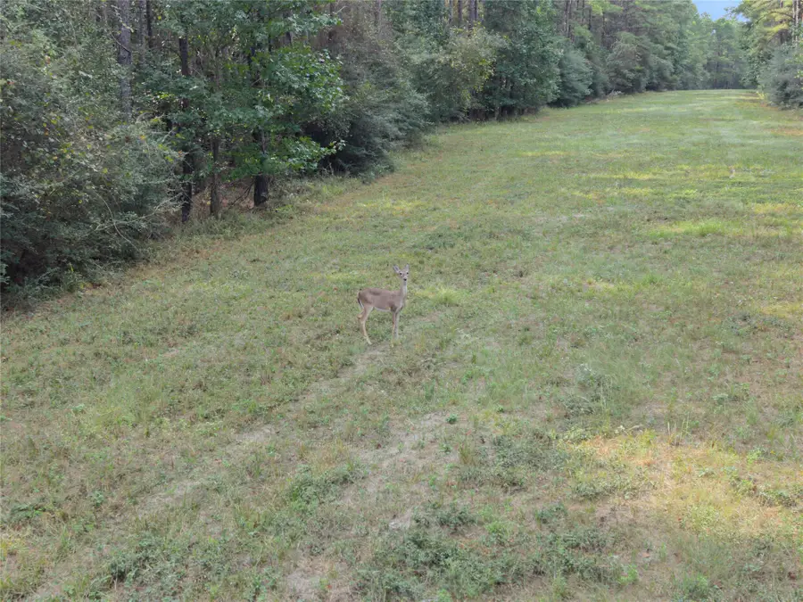 0 Fm 980, Huntsville, TX 77320 - #3