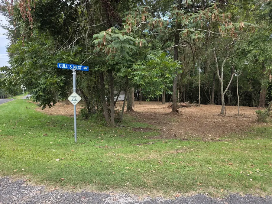 TBD Paradise Drive-gulls Nest Lane, Coldspring, TX 77331 - Image #3