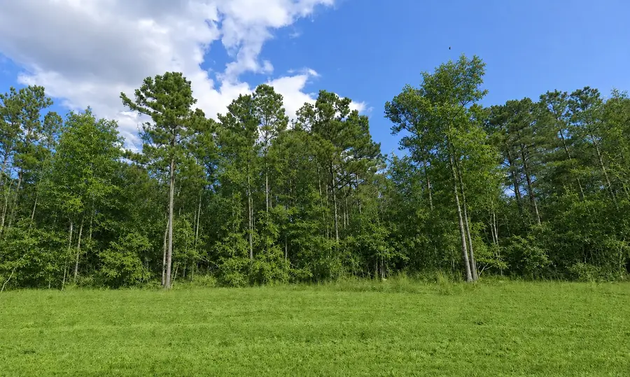 15586 Republic Ranch Road N, Willis, TX 77378 - #3