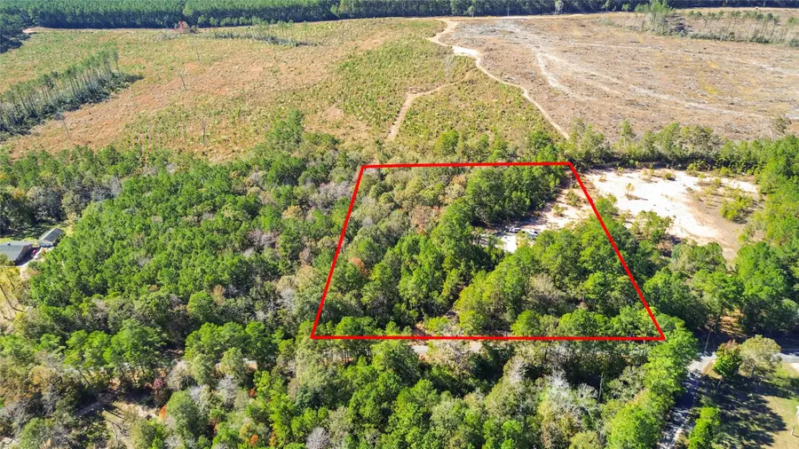 1460 Galahad Loop Road, Woodville, TX 75979 - Image #2