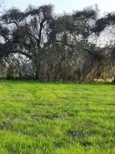 267 / 254 Shetland Court, Angleton, TX 77515 - #2