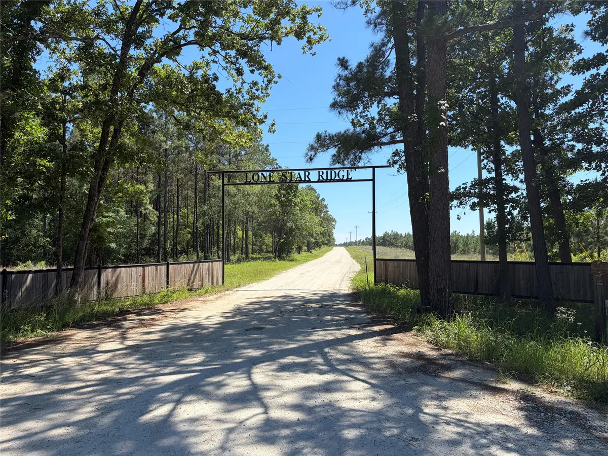 0 Robertson Road, Lovelady, TX 75851 - #1