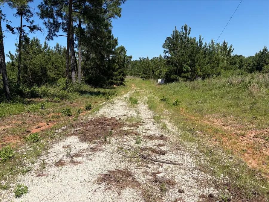 0 Robertson Road, Lovelady, TX 75851 - #2