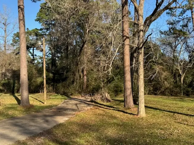 611 Cutter Drive, Trinity, TX 75862 - Image #3