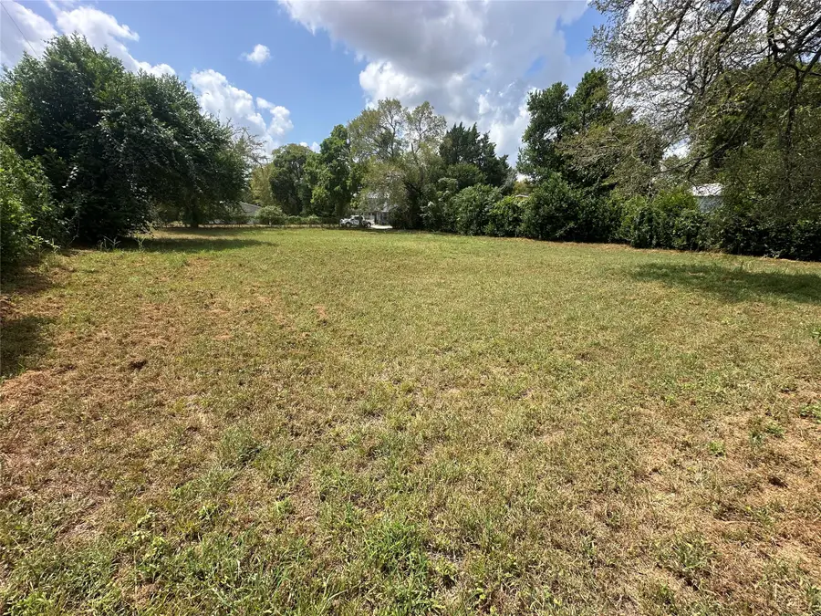 502 W Martin Luther King, Willis, TX 77378 - #3