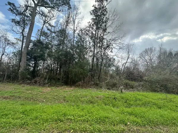 0 Redbud Drive, Conroe, TX 77302