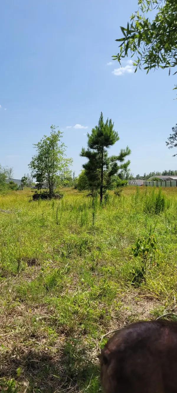 2411 Road 5100, Cleveland, TX 77327