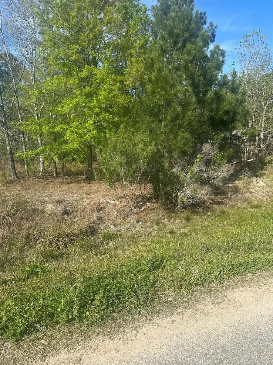 867 County Road 3415, Cleveland, TX 77327 - #2