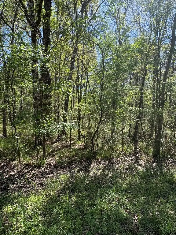 TBD Cr 2505, Liberty, TX 77575 - #1