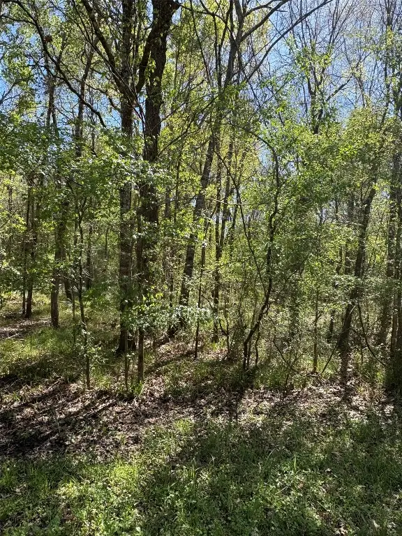 TBD Cr 2505, Liberty, TX 77575 - #2