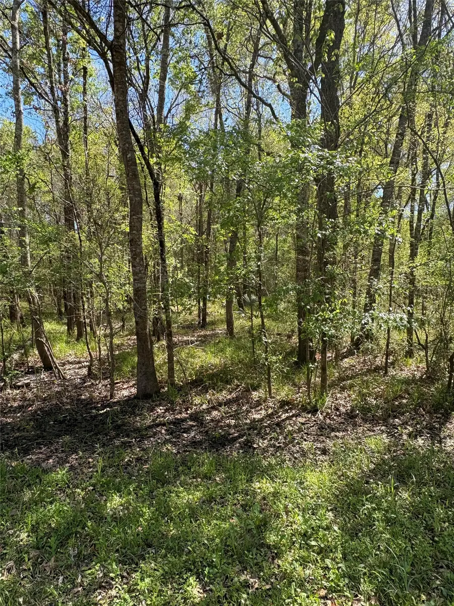 TBD Cr 2505, Liberty, TX 77575 - #3