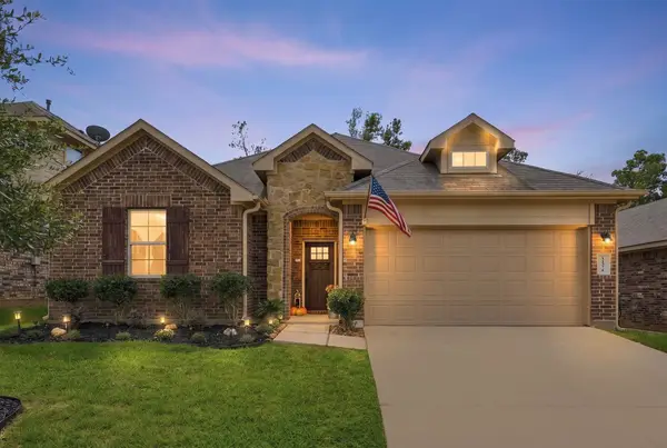 11371 Dawn Beach Lane, Conroe, TX 77304