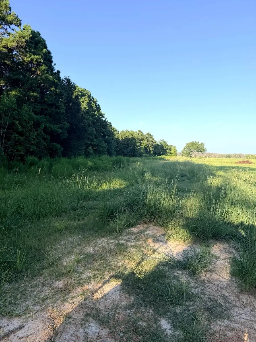 TBD County Road 3114, Buna, TX 77612 - #2