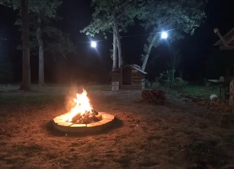 1803 Doe Run Drive, Cistern, TX 78959 - Image #1