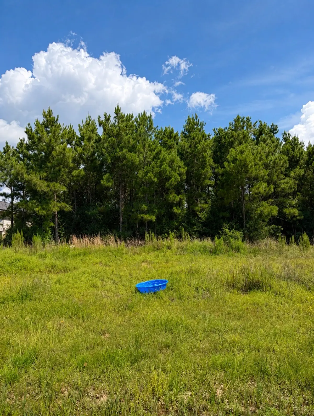 1680 Road 5862, Cleveland, TX 77327 - #1