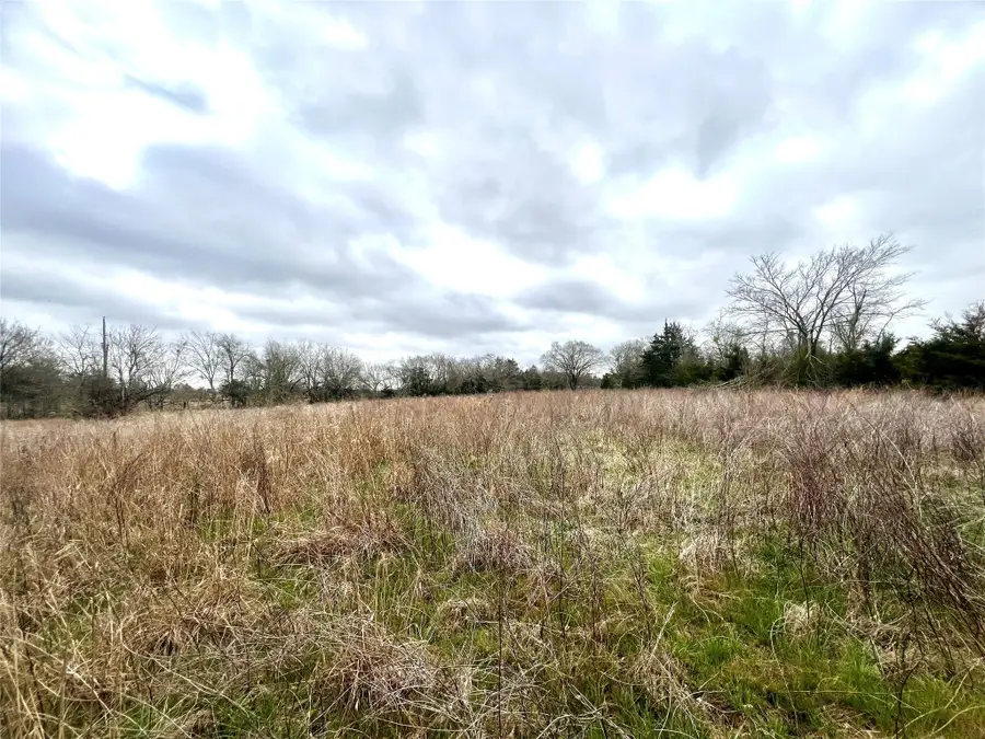 283 County Road, Kosse, TX 76653 - Image #3