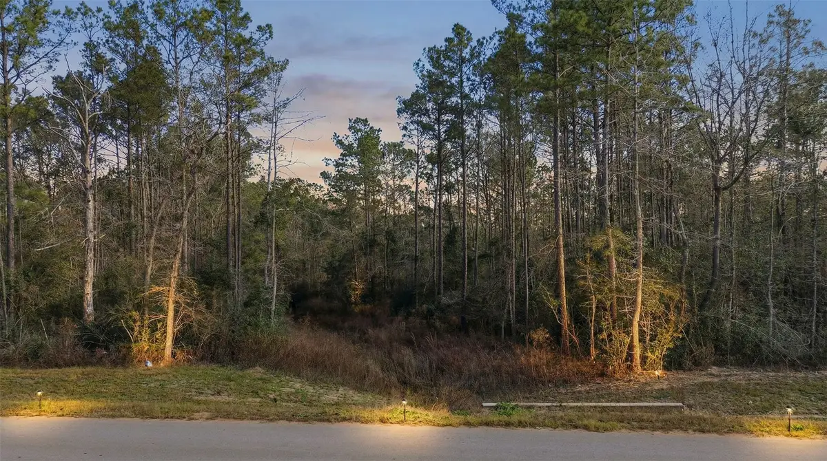 10733 Ruger Road, Willis, TX 77378 - Image #1