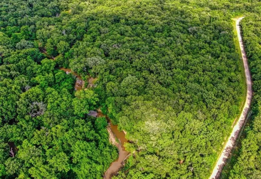 Lot 3 Cr 112, Centerville, TX 75833 - #2