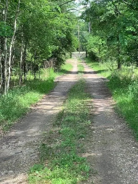 30227 Oak Lane, Magnolia, TX 77354