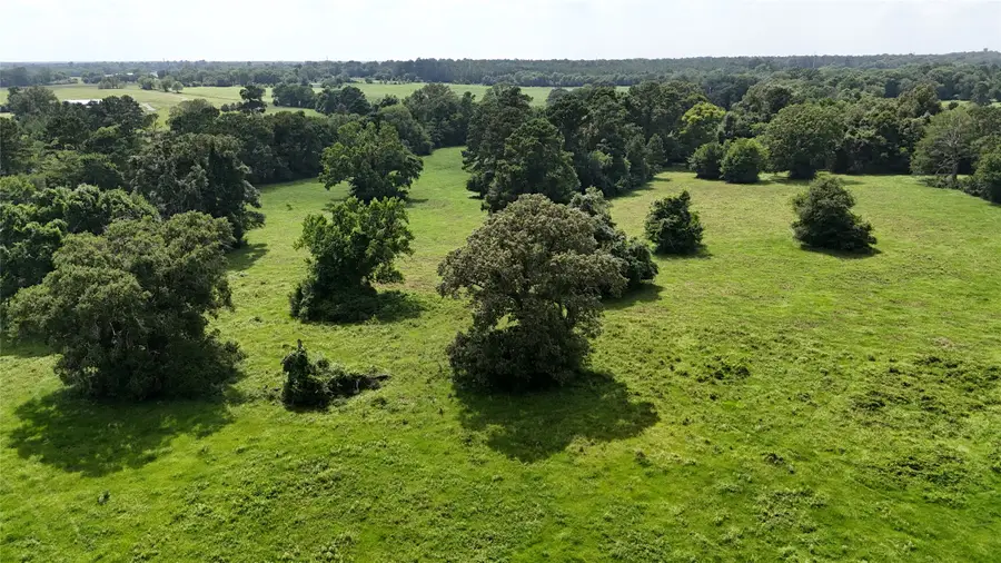 000 Jones Road, New Waverly, TX 77358 - #3