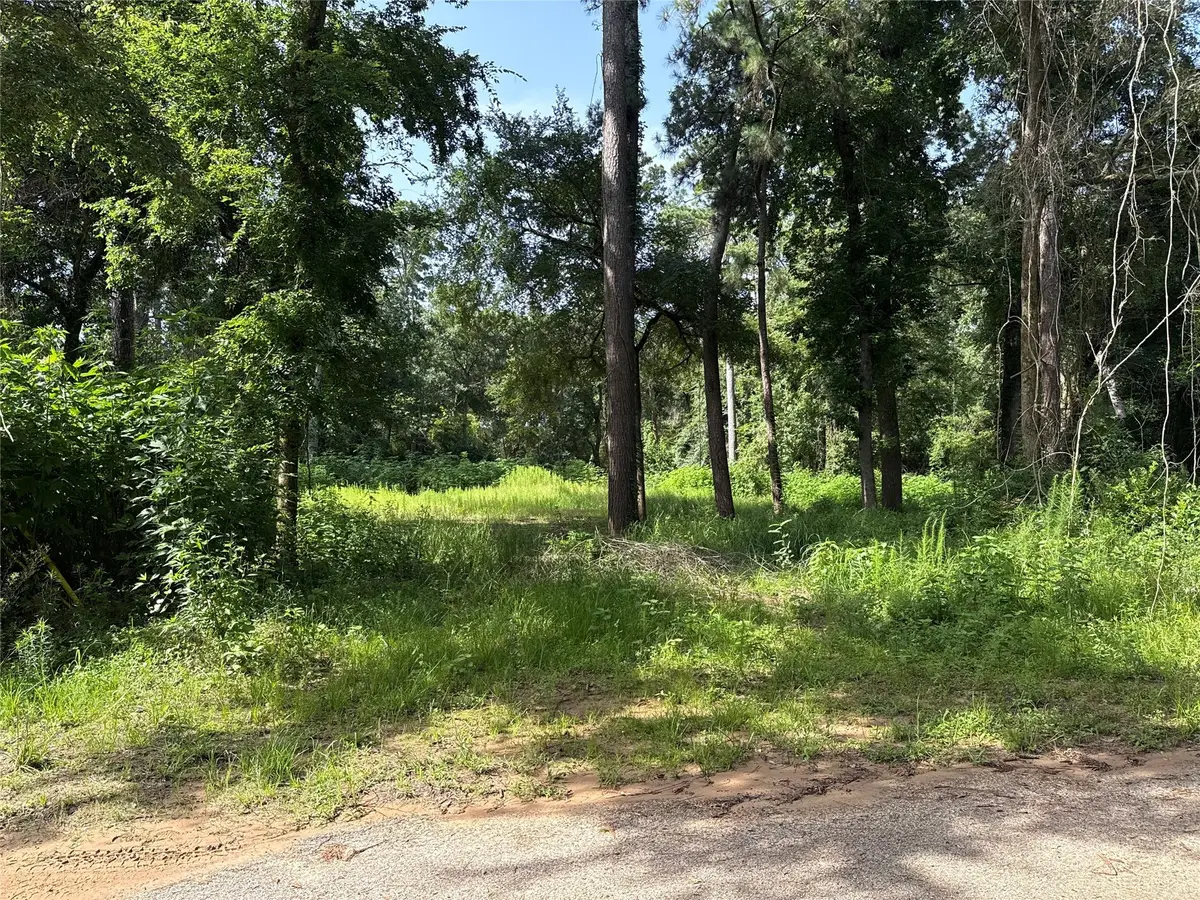 0 TBD Cripple Creek Drive, Pinehurst, TX 77362 - Image #1