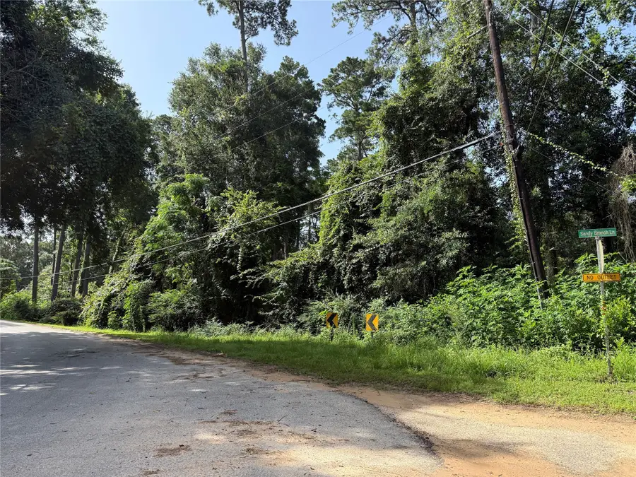 0 TBD Cripple Creek Drive, Pinehurst, TX 77362 - Image #3