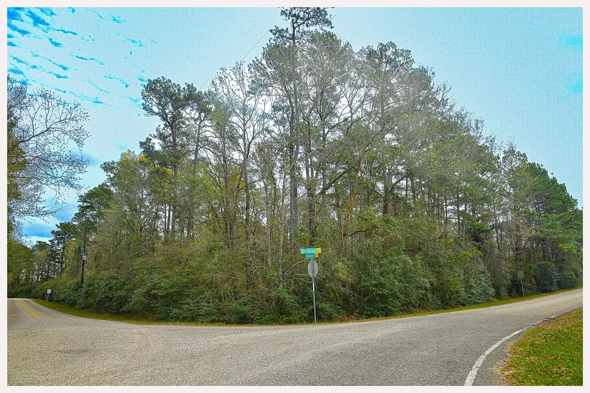 7318 Burr Oak Trace, Magnolia, TX 77354 - #1