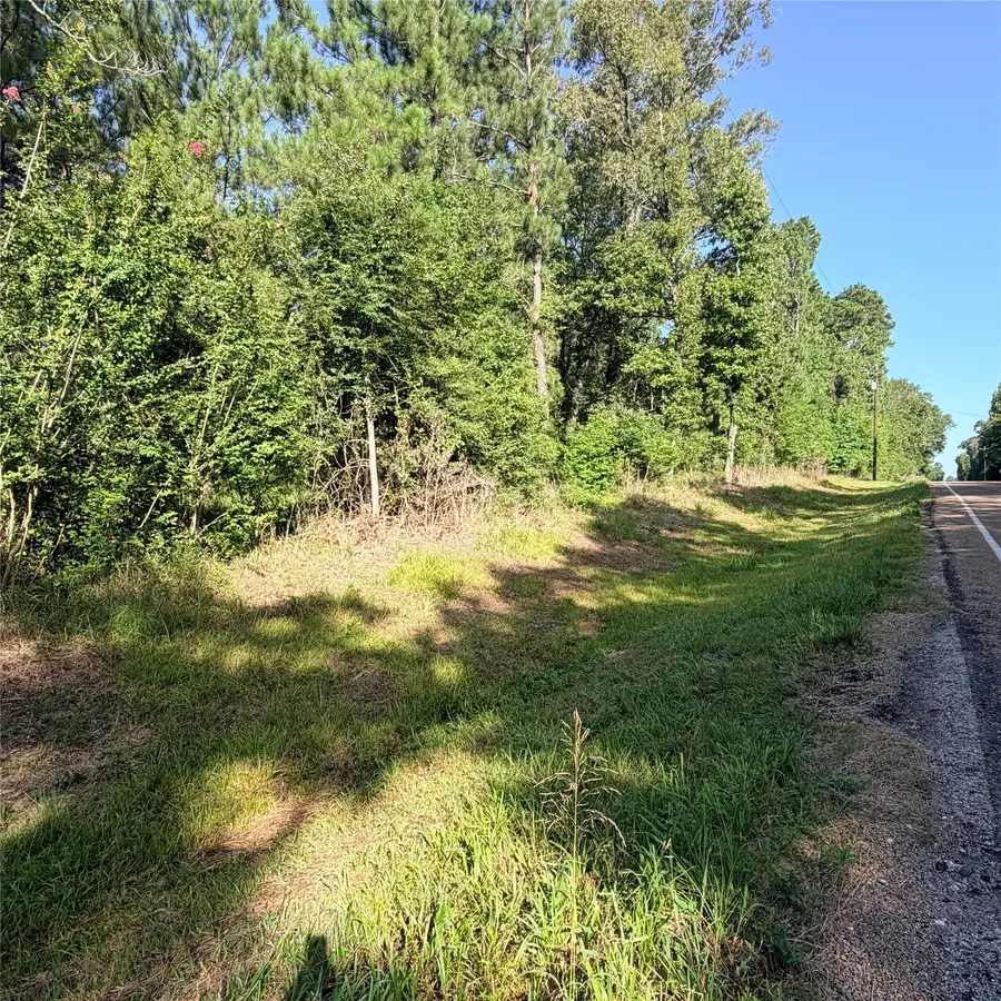 3008 E Fm 942, Livingston Onalaska, TX 77350 - #2
